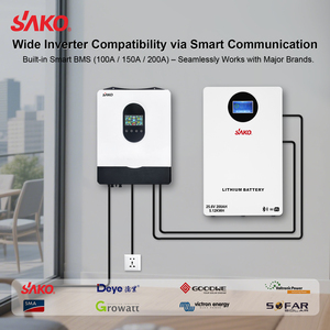 Sistema de Energía Solar SAKO Li-Sun, Baterías de Iones de Litio para Almacenamiento, Batería Lifepo4 de 24V 48V 100ah 200Ah 320ah 400ah 600ah para el Hogar - Product Image 3