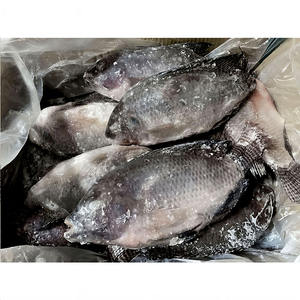 Directe Fabrieksexport Van Hele Tilapia-Vis 500G-1 Kg/stk 10 Kg/box Goedkope Afrika-Markt Vist Hele Tilapia-Vissen - Product Image 6