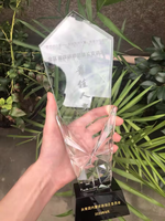 Plaques de trophée de bouclier de cristal de verre de papillon clair transparent personnalisé bon marché pour des cadeaux de Souvenirs d'anniversaire