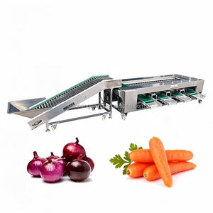 Máquina Clasificadora de Papaya y Oliva en Oferta, Clasificadora de Frutas, Guayaba, Kiwi, Mango, Ajo, Clasificadora de Rodillos, Máquina de Clasificación y Calibración - Product Image 1