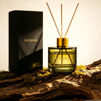Bouteilles en verre vides de couleur personnalisée 30ml/50ml/80ml/100ml/120ml avec bouchon à vis anti-fuite pour huiles essentielles d'aromathérapie à usage domestique