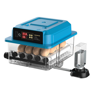 Mini incubateur domestique, capacité de 12 œufs, incubateur à poussins, éclosoir entièrement automatique, <span class=keywords><strong>machine</strong></span> à écloser les œufs d'oiseaux - Product Image 1