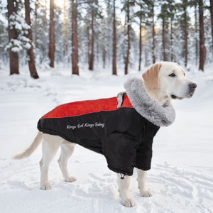 Customizable Pet <b>Clothes</b> With Wool Thickened Windproof Waterproof <b>Dog</b> Clothing Reflective Medium and Large <b>Dog</b> Pet Quilted Coat - Product Image 5