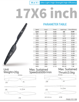 Hélices RAYI CW CCW 17x6 pouces, hélices de drone en fibre de carbone, hélices avant/arrière pour multirotor, aile fixe, EVTOL