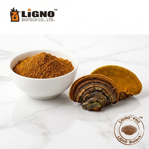 ผงสกัดเห็ดลินเตา LiGNO SH02 แบบแห้งเย็น เกรดอาหารเพื่อสุขภาพ วัตถุดิบเห็ดเพื่อการดูแลสุขภาพ ได้มาตรฐาน ออร์แกนิค - Product Image 1