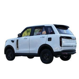 2025 <span class=keywords><strong>Micro</strong></span> nuevo vehículo de energía eléctrica de baja velocidad 60 km/h Mini coche eléctrico con buena calidad - Product Image 6