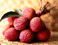 Lychee/Litchi/Litchee Vietnam Leverancier Hoge Kwaliteit Beste Prijs-Whatsapp: Ms.Pinky (+ 84) 35 9268 345
