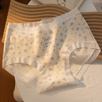 Culotte en soie élastique à taille moyenne pour femmes Culotte romantique en dentelle florale Taille unique Hipster Sous-vêtements pour femmes avec logo à la taille