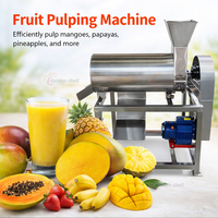 Papaja- en mangopulper voor het maken van fruitpuree met efficiënte vergruizing en continue pulpseparatie pulpmachine