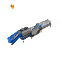 Fruit Sizer Grader Fruit Classifier Machine Pumpkin Seed and Fruit Sorting Machine