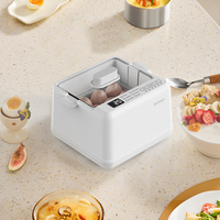 Cuiseur à œufs électrique multifonctionnel avec pot intérieur en plastique automatique et arrêt automatique pour usage domestique