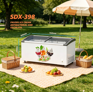 Congelatore Solare DC 12V 24V per Carne, Congelatore a Pozzetto 2025 per Casa e Supermercato, Vendita Calda per Esterni - Product Image 1