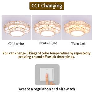 Einrichtungen Blume 12 W warmes weißes natürliches veränderliches Wohnzimmer-Beleuchtung Dekor Led Deckenlichter - Product Image 3