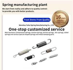 Maßgefertigte Edelstahl-Zugfeder Mehrzweck-Mechanische Doppelöhr-Doppelhaken-Zugfeder - Product Image 2