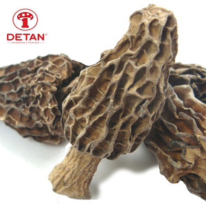 Funghi Morchella Essiccati Biologici di Alta Qualità in Confezione Grande - Product Image 3
