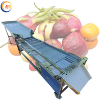 Optische Appel Mango Citroenfruit Gewicht En Kleur Sortering Waxmachine Aardappelen Csortering Sorteermachine