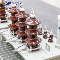Transformador Eléctrico de Distribución de 100 kVA Trifásico S11 Sumergido en Aceite de Potencia Toroidal 50/60 Hz
