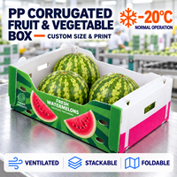 Boîte en plastique ondulé PP empilable pour fruits et légumes, taille personnalisée avec poignées et impression de logo pour l'emballage agricole