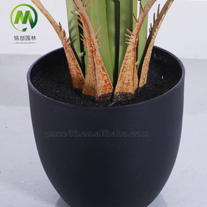 Nouvel Arbre Artificiel <span class=keywords><strong>Palmier</strong></span> Vert de Sumatra à Feuilles <span class=keywords><strong>en</strong></span> <span class=keywords><strong>Éventail</strong></span>, Plante Bonsaï <span class=keywords><strong>en</strong></span> Plastique pour Usage Domestique - Product Image 4