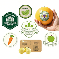 Jinyu Printkwaliteit Fabriek Groothandel Zelfklevende Etiketten Kleurrijke Individuele Sticker Vellen Adhesieve Vinyl Fruit Stickers