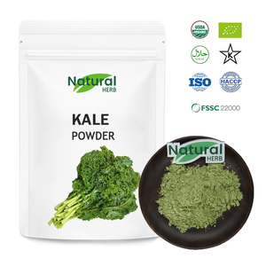 Oem/ODM Nhà máy cung cấp tinh khiết vitamin-nạp cải xoăn nước trái cây bột cấp thực phẩm đóng băng khô cải xoăn Rau chiết xuất cho chăm sóc sức khỏe - Product Image 2