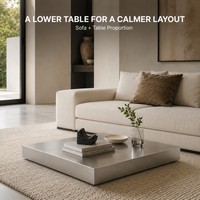 Table basse carrée moderne KINNO en acier inoxydable 201, plateforme basse 100x100x15cm, finition sablée naturelle, meuble de salon durable