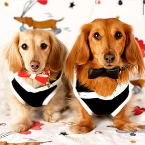 โบว์ผูกคอสุนัขทำมือน่ารัก ปรับแต่งได้ ทำจากไนลอนและโพลีเอสเตอร์ ประดับหมุด |   ของขวัญคุณภาพสูงสำหรับสุนัข สีดำ - Product Image 4