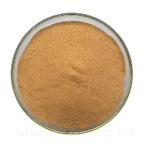 Poudre d'extrait de bulbe de lys <span class=keywords><strong>Lilium</strong></span> <span class=keywords><strong>Brownii</strong></span> Var. Extrait de Viridulum à rapport 10:1 – Qualité cosmétique, alimentaire et santé - Product Image 2