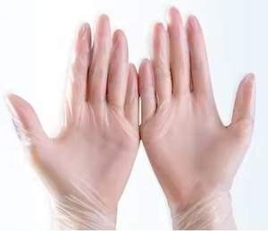 Cost Effective Food Service Disposable Vinyl Gloves 24CM Silicone-Free <b>Powder</b>-Free Non Sterile Clear Smooth <b>Texture</b> Customizable - Product Image 3