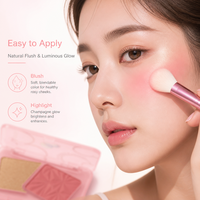 Kit de maquillage portable pour femmes, poudre lissante soyeuse, blush et illuminateur personnalisés avec logo, effet lumineux, vente en gros
