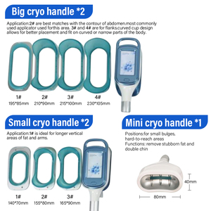 เครื่องกระชับสัดส่วน360เย็นแช่แข็งไขมัน criolipolisi Cavitation RF <span class=keywords><strong>cryolipolysis</strong></span> 9in1หน้าจอใหญ่ร้านเสริมสวยมืออาชีพ - Product Image 4