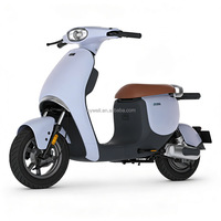 Scooter électrique à pneus larges de 10 pouces, 48V, 2 places, autonomie de 75 km, vitesse de 45 km/h, acier carbone, avec USB