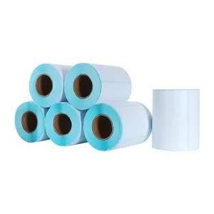 100*60 Different Size Thermal Paper Label Rolls / Self-adhesive Paper Label Printing Paper