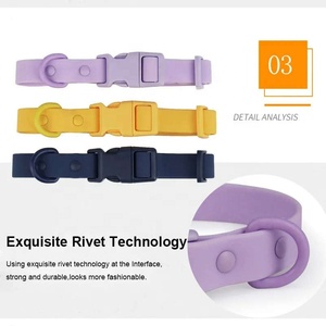 2024新材料氯丁橡胶宠物项圈和皮带宠物友好型高品质狗项圈 - Product Image 4
