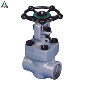 Tamaño del puerto de uso Estación de api 602 de acero forjado válvula de compuerta precio cl300 dn50 2 pulgadas - Product Image 2