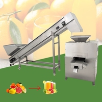 Presse-agrumes professionnel à double rouleau pour fruits frais (citron, orange, agrumes) – Machine à jus à froid 500 kg/h