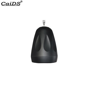 CaiDS 30W 70V/8Ω – Nouveau haut-parleur suspendu pour système de sonorisation (PA) à double usage, pour montage mural intérieur - Product Image 2