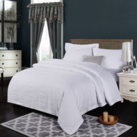 Draps de lit hôteliers en coton égyptien 100% de couleur unie, 300 fils/cm², sur mesure, luxe OEM 2023