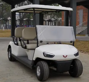 2023 China 48V 72V 5kw Off Road Ev Golf Buggy Club Auto 4 6 8 10 Zitplaatsen Elektrische Golfkarretjes