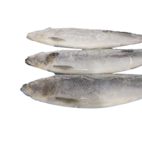 Filets de hareng congelés (Clupea pallasii) très demandés pour l'industrie de la restauration, emballés sous vide