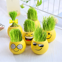 Plante en pot DIY avec poupée en herbe visage souriant, décoration artisanale pour micro-paysage, plante d'intérieur facile d'entretien