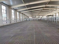 Tapis en caoutchouc rayé pour vaches, tapis d'écurie pour chevaux, antidérapant, imperméable, durable, revêtement de sol pour ferme et grange, équipement d'élevage, tapis d'écurie en caoutchouc de 25 mm pour vaches