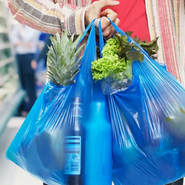 Bedankjes Tas Biologisch Afbreekbare Composteerbare Plastic Boodschappentas