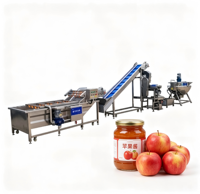 Fruitjamvulmachine, zakjesverpakkingslijn, kook- en mengapparatuur voor kleine en middelgrote fabrieken en startende bedrijven