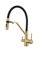 Robinet de cuisine moderne en acier inoxydable avec filtre à eau pour hôtels et hôpitaux, double poignée chaud/froid, cartouche céramique, pour une eau pure
