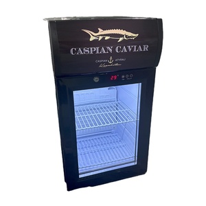 Cá nhân cửa kính trứng cá Tủ lạnh mini bảng Top trứng cá mát - Product Image 6