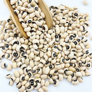 Новый Урожай бобов с черными глазами для продажи высокое качество для обычного культивирования - Product Image 6