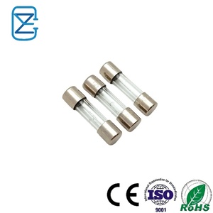 Fusible de Tubo de Vidrio de 5x20mm, 250V, Acción Rápida/Lenta, 1A 2A 3A 5A 10A 15A 20A 30A, para Protección de Audio de Coche, Electrodomésticos y Electrónica - Product Image 1