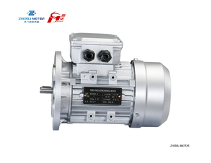 <span class=keywords><strong>Motor</strong></span> Eléctrico <span class=keywords><strong>de</strong></span> Bomba Serie MS IE1 2P 0.18kw 0.37kw 0.55kw 0.75kw 0.25HP 0.5HP 0.75HP 1HP B3 con Certificación CE ISO9001 EAC CCC - Product Image 4
