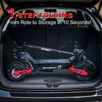 Trottinette Électrique Pliable 250W 25km/h avec Batterie Lithium 48V13Ah – Scooter Aquatique Électrique Tout-Terrain pour Solution Dernier Mille